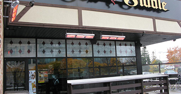 622-FoxFiddle6-1024×768